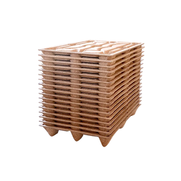 Tru Pac Rx Empaque de pulpa moldeada – trupac.mx